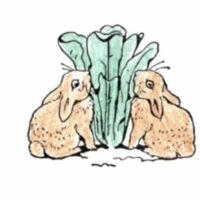 Wild lettuce, 4 oz
